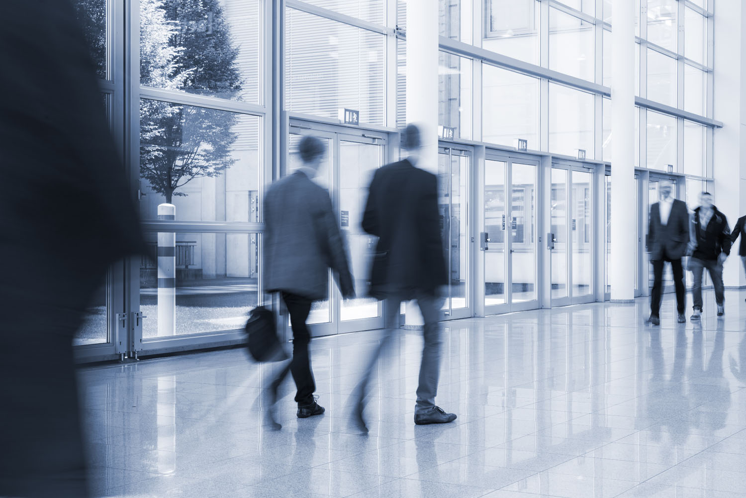 Image hover effect image